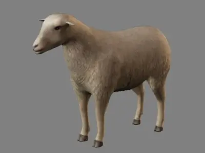 Sheep Animations- LowPoly- Game Ready Low-poly 3D model