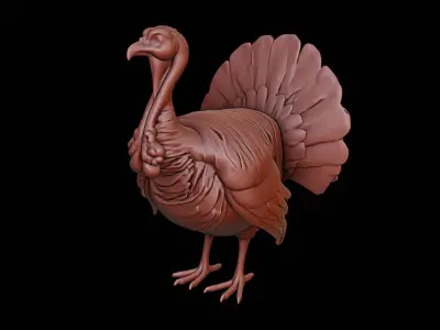 Turkey Animal Sculpture 3D print model purchase
