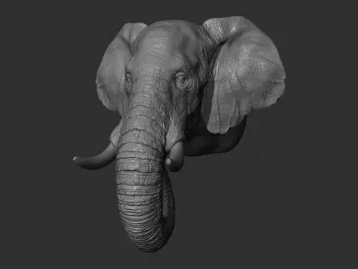 Elephant head 3D print model purchase