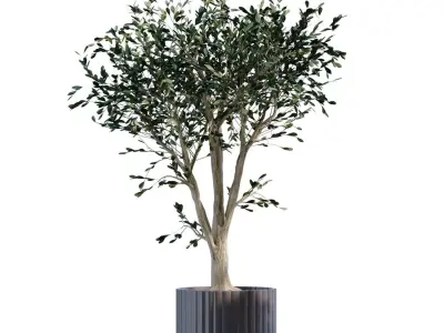 plant in vase set 898 3D model