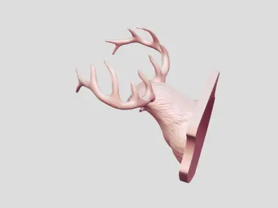 Animal Bird Horns  3D print model