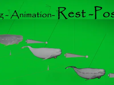 Yangtze Finless Porpoise Low-poly 3D model