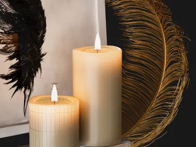 decorative set feathers wine 3D model