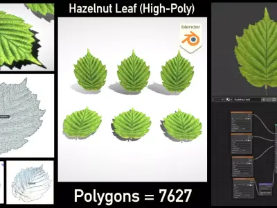 Hazelnut Leaf High-Poly 3D model