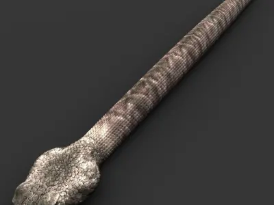 Snake 3D model