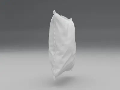 Pillow two pillows 3D model