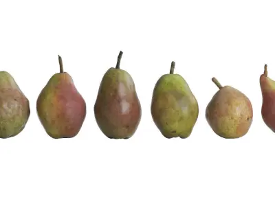 Organic Pears In Ceramic Bowl 3D model