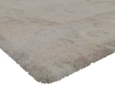 Rug Set 1824 3D model