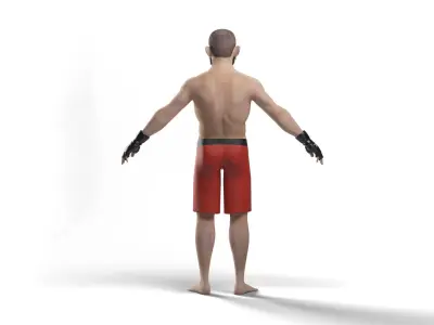 khabib nurmagomedov 3d model   Low-poly 3D model