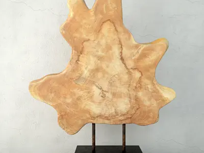 Natura Star Decor 3D model