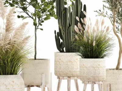 Ornamental plants in rattan baskets 1035 3D model