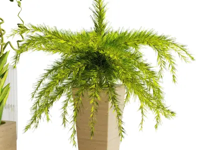 decorative set 05 3D model