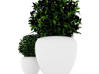 Plants modern 3d 3D model Free 3D model
