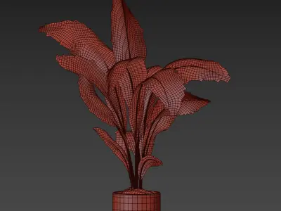 indoor plant 021 3D model