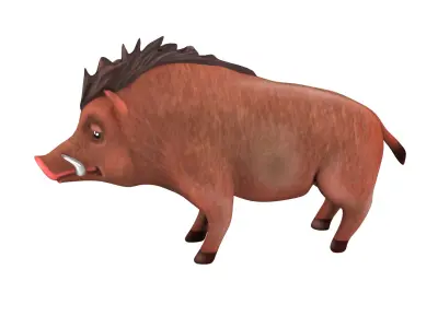 boar   rig  high-poly  textured 3D model