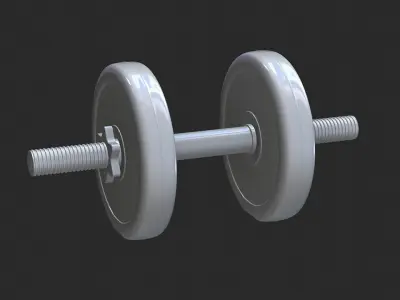 Sport Training Dumbbell highpoly model 3D model