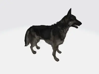 German shepherd 3D model