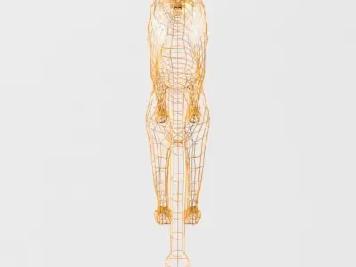 Lion Safari Low-poly 3D model