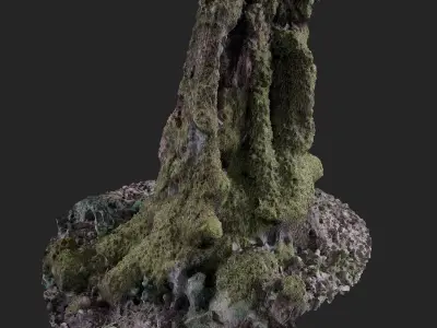 Cut Trunk-02 Low-poly 3D model