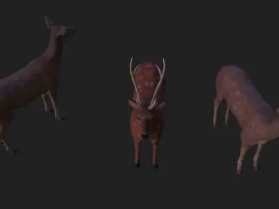 Sika deer complete animation Low-poly 3D model
