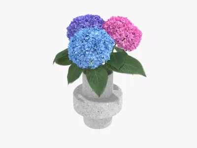 Hydrangea Flower Set 3D model