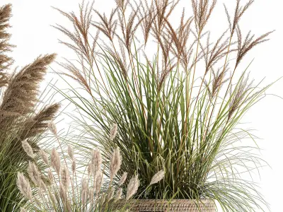 Ornamental plants in rattan baskets 1024 3D model