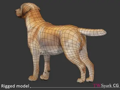 Low poly Labrador Dog Model Rigged Low-poly 3D model