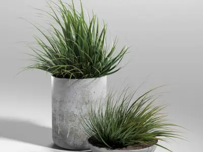 Set of plants 03 3D model