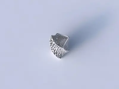 Vase twisted double arc quadratic with organic lattice and ta... 3D print model