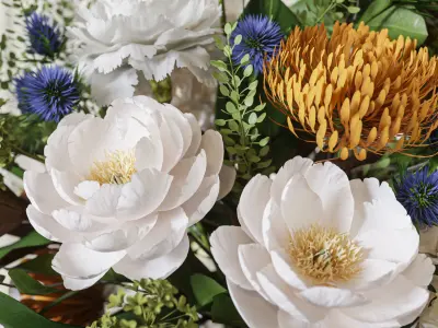 Flower Set 067 magnolia peony carnation 3D model