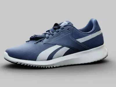 Reebok Flux lite Sports Shoes Hyper Realistic High and Low poly Low-poly 3D model