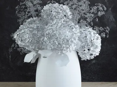 Bouquet of Gypsophila with Hyndrangeas 3D model