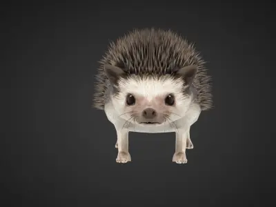 Hegdehog 3D Character Low-poly 3D model