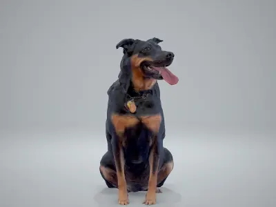 Sitting Dog Dog0001-HD2-P01-S 3D model