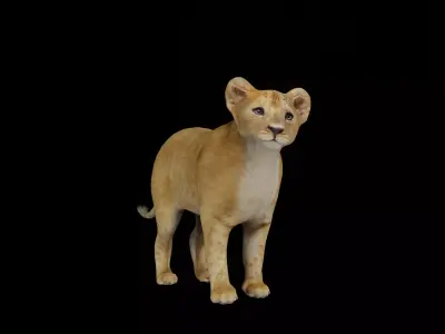 Lion Cub Low-poly 3D model