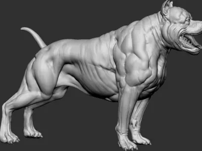 American pit bull terrier model Low-poly 3D model