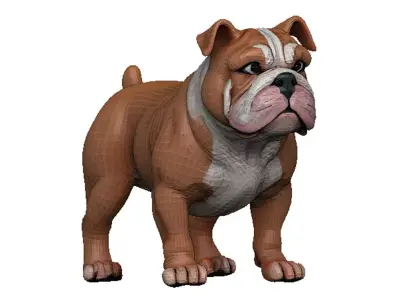 Bulldog Low-poly 3D model buy