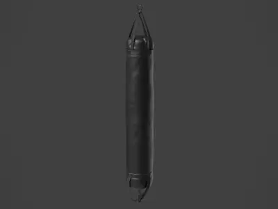 Punching Bag 4 3D model