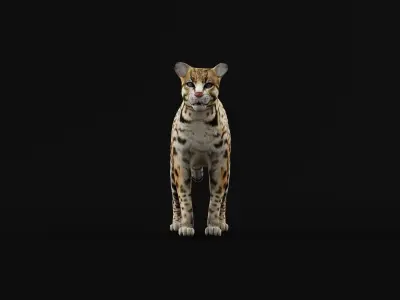 Ocelot Wild Cat Low-poly 3D model