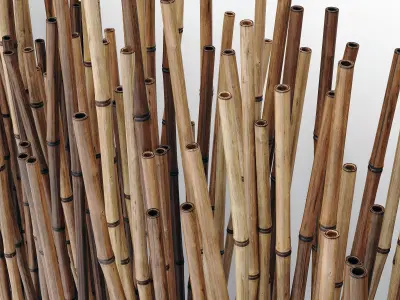 Bamboo low  decor pebble n3 3D model
