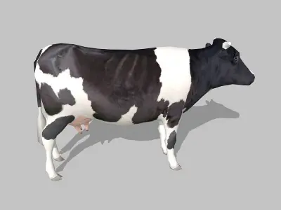 cow holstein Low-poly 3D model