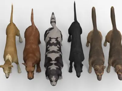 6 Dog Pack - Rigged Low-poly 3D model