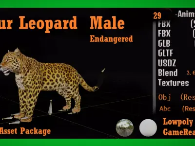 Amur Leopard Male Low-poly 3D model