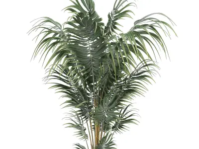 Decorative palm in a white flowerpot 518 3D model