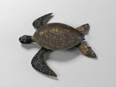 Sea turtle Low-poly 3D model