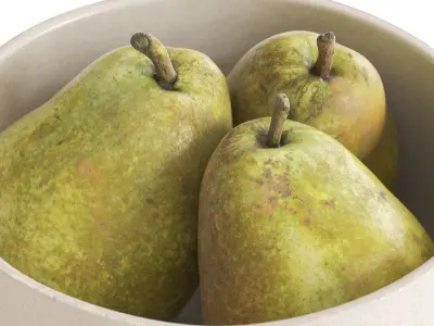Kieffer Pears In Beige Ceramic Bowl 3D model
