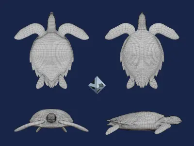 Hawksbill Turtle  3D model