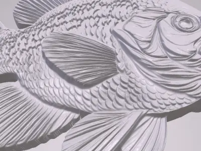 Crappie 1 basrelief for 3D printing 3D print model