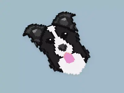 Pixel Border Collie Symbol Low-poly 3D model