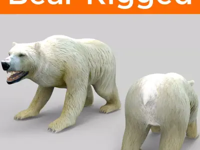 3D White Beer Rigged Model Low-poly 3D model